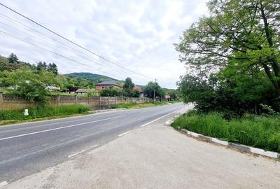 Teren de 5000 mp, în Vlădesti - 5