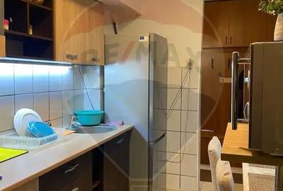 Apartament cu 3 camere decomandat, mobilat în Alfa - 8