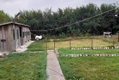 Vand casa la Tara Vand casa la Tara - 4