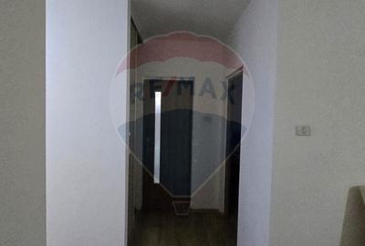 Apartament cu 2 camere de inchiriat Vivalia  zona Aurel Vlaicu - 9