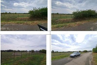 Teren extravilan arabil loc. Prunisor, jud. Mehedinti - 6