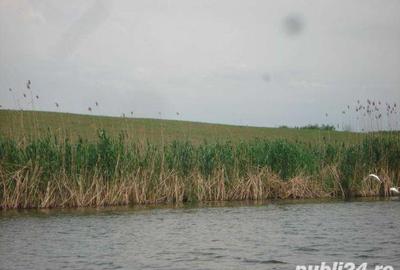 Teren de 5000 mp, în Ciofliceni