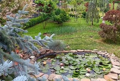 Urgent .Proprietar, parter la casa cu etaj, Mogosesti - Iasi, 10 km - 6