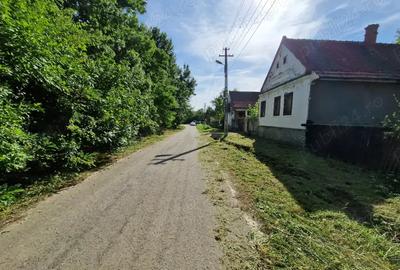 Casa batraneasca + teren Cralovat(Timis) - 5