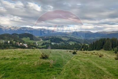 O fereastra catre cer teren de vis in Fundata, la ... - 19