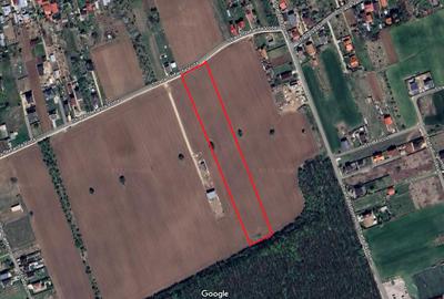Teren Construcții intravilan de 5000 mp, în Snagov