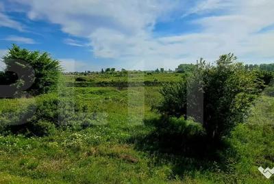 Teren în Nord - 3