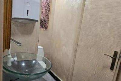 Spațiu comercial, de 210 mp, în Dacia - 6