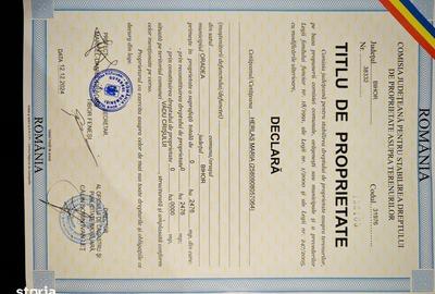 Teren de 2476 mp, în Șuncuiuș - 1