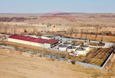 Spațiu comercial, de 2,800 mp, în Buciumeni - 7