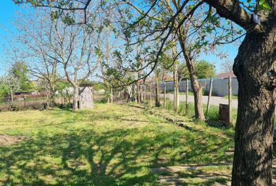 Casă cu 3 camere în Nicolae Bălcescu - 4