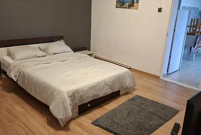 Apartament cu o camera - 5