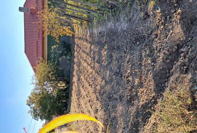 Casă cu 3 camere cu Teren 1354 Mp în Segarcea - 1