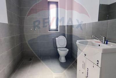 Hale noi de inchiriat Domnesti - putere instalata pana la 600kva - 17