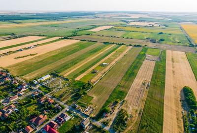 50 ha teren compact în Bujac - 9