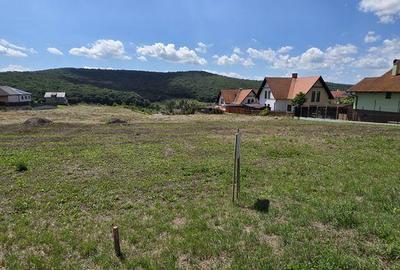 Teren de 700 mp, în Corunca - 4