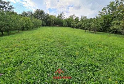 Teren intravilan in Poiana Campina--3287mp--10e - 9