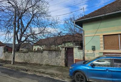 Casă cu 3 camere cu Teren 2500 Mp în Pietroasa - 13