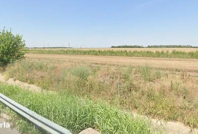 Teren de 26800 mp, în Lehliu - 5