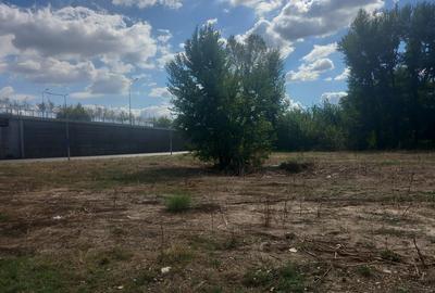 Popesti Leordeni, direct de la proprietar Popesti Leordeni, direct de la proprietar - 4