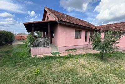 Casă cu 3 camere cu Teren 875 Mp în Botizului - 5