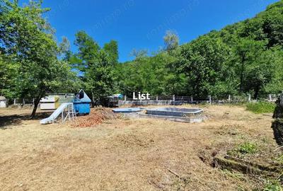 Casă cu 4 camere cu Teren 3215 Mp în Băița - 16