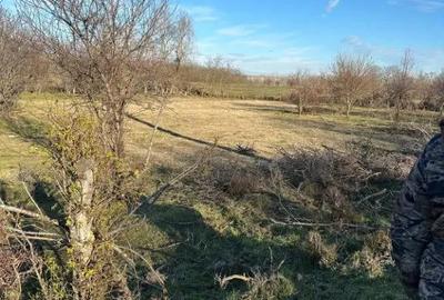Teren de 1032 mp, în Băltenii de Jos - 2