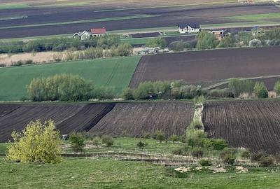 Teren de 7500 mp, în Ipotești - 5