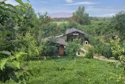 Casă cu 3 camere cu Teren 1268 Mp în Săpânța - 2