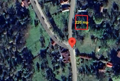 7700 Euro vanzare 220 mp teren asfalt apa gaz si curent Cosminele Prahova superb - 1