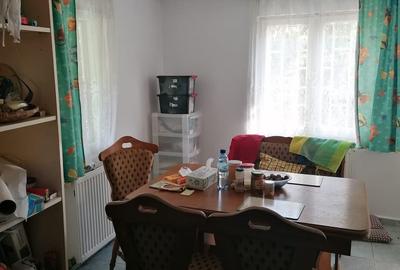 Singureni Stejaru casa intre paduri, cu teren 1600mp - 14