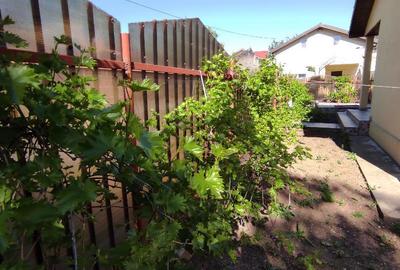 Casă cu 3 camere cu Canalizare în Glina - 2