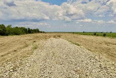 Teren in Butimanu cu Deschidere la Lac-Jud. Dambovita - 5