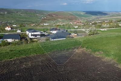 Teren agricol extravilan de 658 mp, în Nord - 9