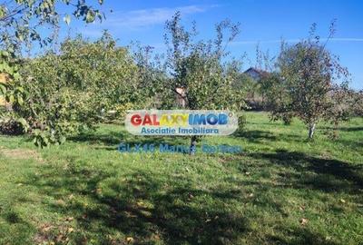 Vanzare casa Petresti Dambovita - 20