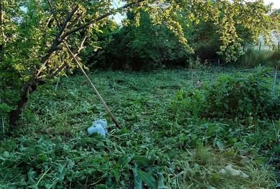 Casă cu 3 camere cu Teren 1550 Mp în Berceni - 6