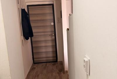 Apartament cu 2 camere semidecomandat în Ostroveni - 8