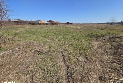 Spațiu comercial, în Bradu