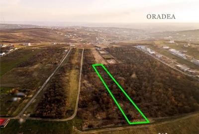 Teren în Săldăbagiu de Munte - 7