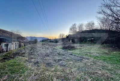 Teren intravilan, ?oimu?, 4600mp - 3