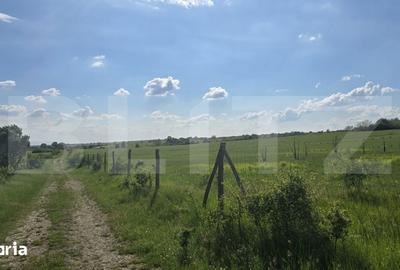 Teren de 755500 mp, în Ghizela - 2