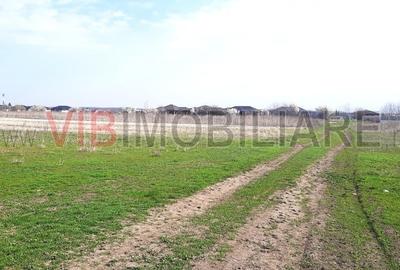 Corbeanca - Tamas, teren intravilan 19.325 mp - 2