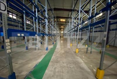 Hala+birouri, 15533mp utili, teren 21323mp, Freidorf - 18