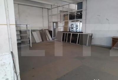 Apartament cu 7 camere în Buziașului - 1