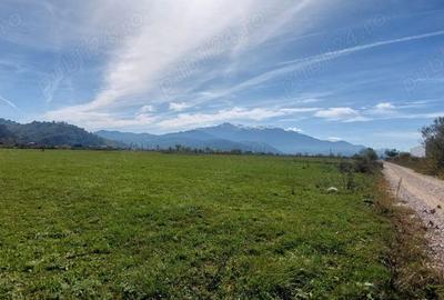 Teren de 934 mp, în Ghimbav Livadă - 2