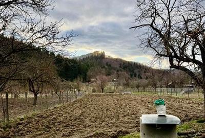 Casă cu 4 camere cu Teren 3100 Mp în Câmpuri - 1
