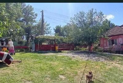 Casă cu 2 camere cu Teren 53 Mp în Tămășești - 3