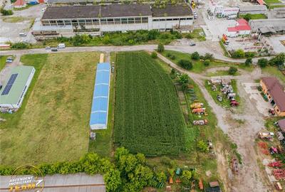 FILM! 4.600mp,aria industriala,utilitati aproape:hala,depozi - 6