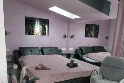 Apartament cu 3 camere decomandat, mobilat în Zăvoi