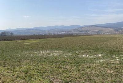 Teren de 6920 mp, în Central - 3